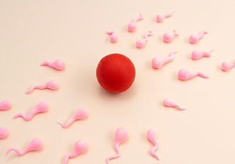 Donör Yumurta/Sperm Danışmanlığı