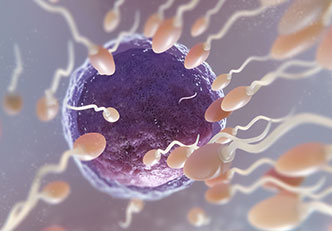 Tüp Bebek Tedavisi (IVF)